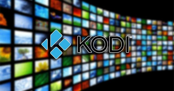 kandidat Osoba zadužena za sportsku igru katastrofa  How To Install Kodi On Smart TV (XBMC, LG, SAMSUNG) - Android A+