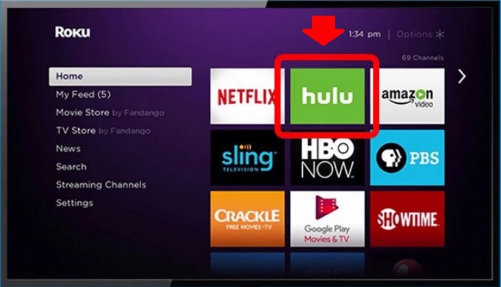 Why is Hulu Not Working on Roku?