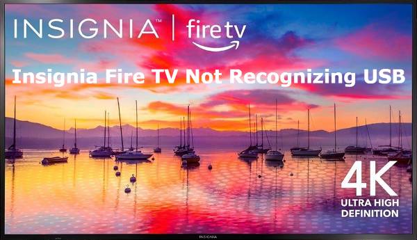 Insignia Fire TV Not Recognizing USB